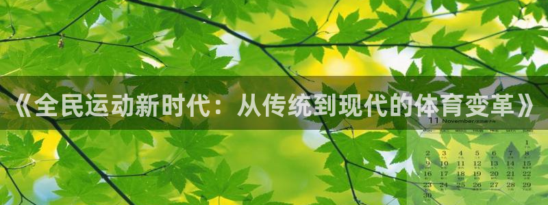 嗨王体育赛事在线直播免费观看高清：《全民运动新时代：从传统到现代的体育变革》