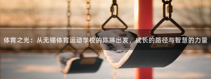 嗨王体育打不开了：体育之光：从无锡体育运动学校的陈琳出发，成长的路径与智慧的力量
