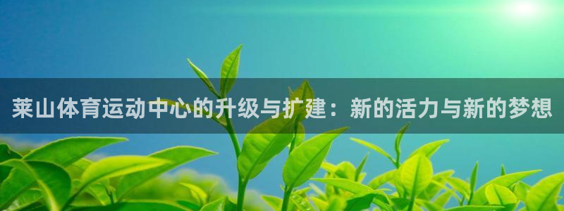 嗨王体育app官网下载：莱山体育运动中心的升级与扩建：新的活力与新的梦想