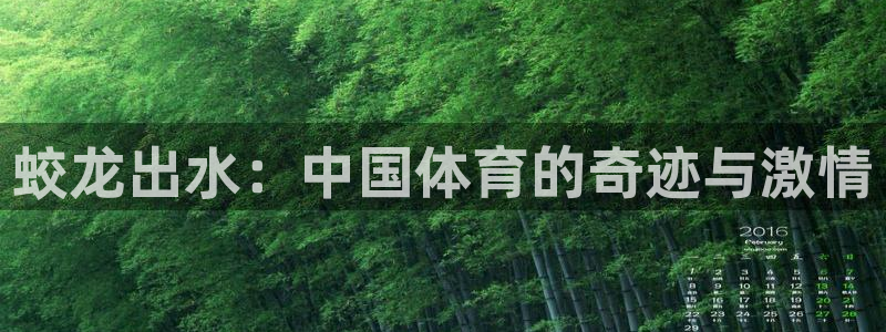 嗨王体育：蛟龙出水：中国体育的奇迹与激情