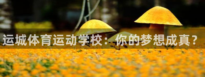 嗨王体育官方正版下载：运城体育运动学校：你的梦想成真？